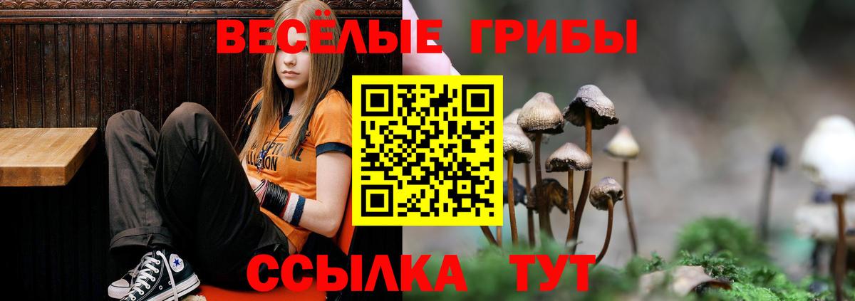 Благовещенск  наркотики  Вход с VPN  Псилоцибиновые грибы MAGIC MUSHROOMS 